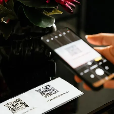 Deluxe 公寓 贝尔加莫